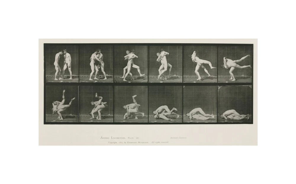 Time-lapse photographs of two men wrestling, 1872-1885. - Image 60