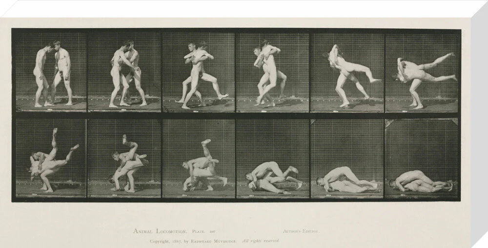 Time-lapse photographs of two men wrestling, 1872-1885. - Image 66