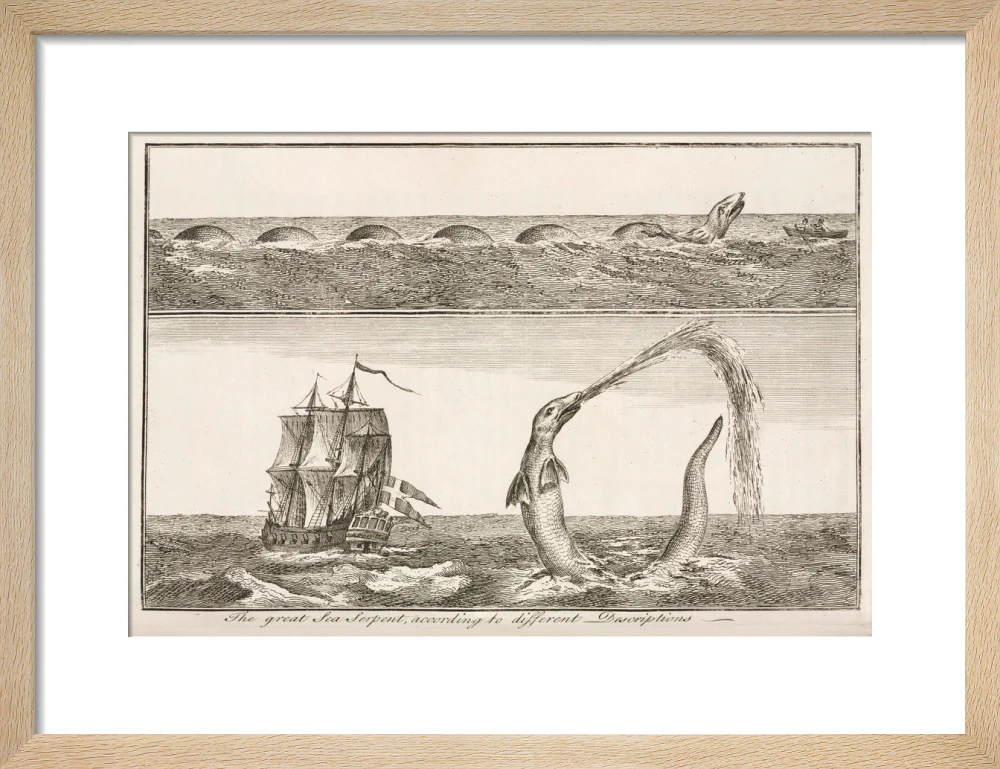 'The great Sea Serpent, according to different Descriptions', 1755. - Image 11