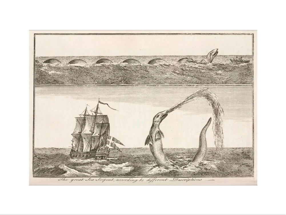 'The great Sea Serpent, according to different Descriptions', 1755. - Image 12
