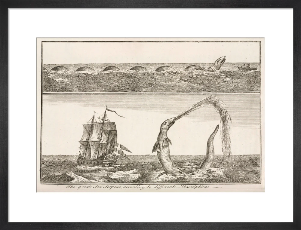 'The great Sea Serpent, according to different Descriptions', 1755. - Image 13