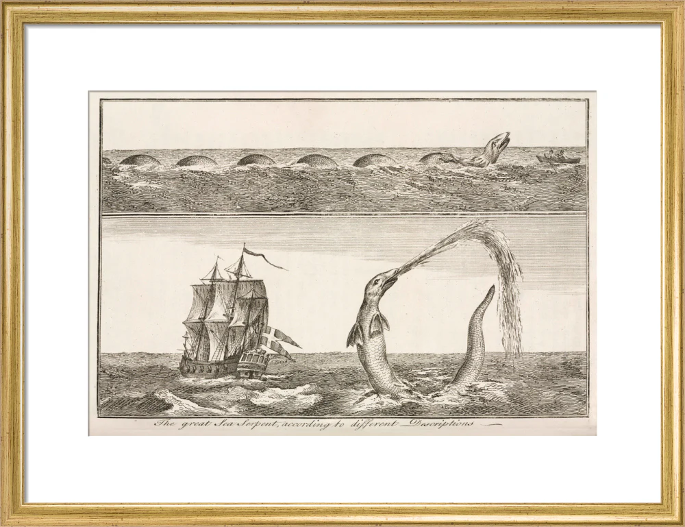 'The great Sea Serpent, according to different Descriptions', 1755. - Image 15