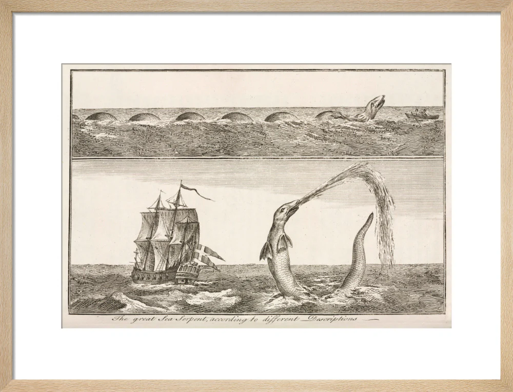 'The great Sea Serpent, according to different Descriptions', 1755. - Image 16
