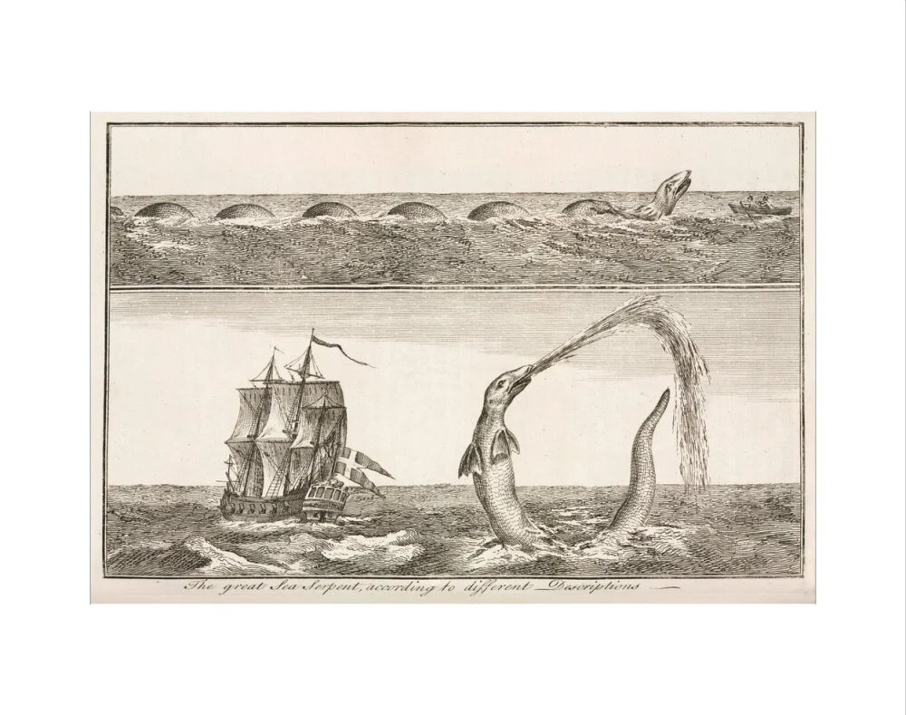 'The great Sea Serpent, according to different Descriptions', 1755. - Image 2