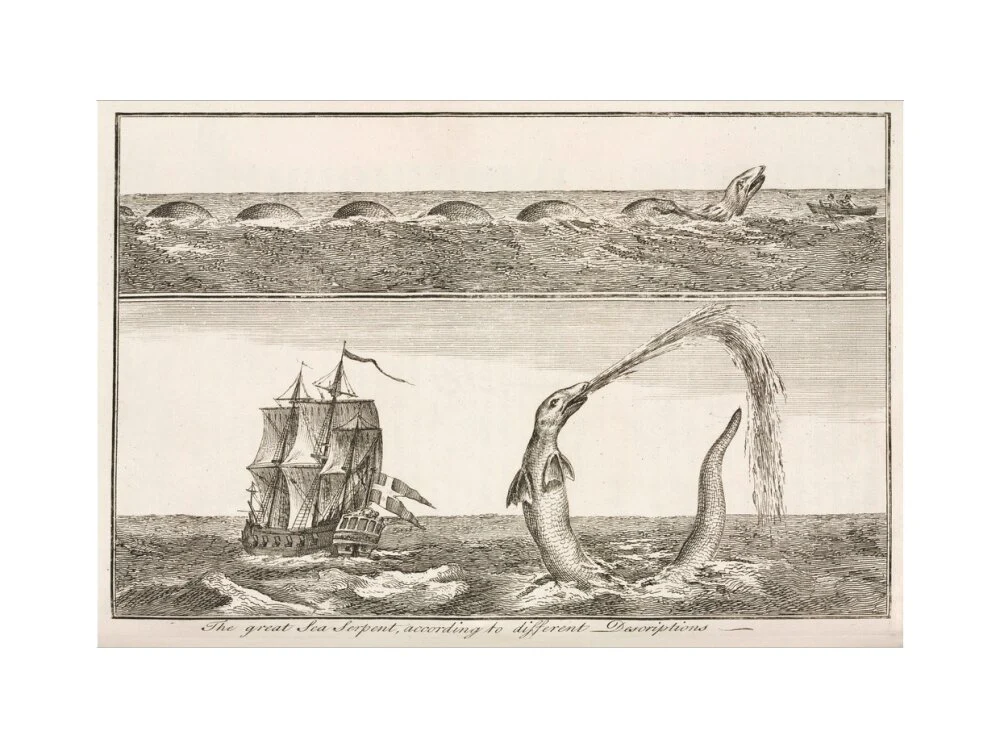 'The great Sea Serpent, according to different Descriptions', 1755. - Image 22