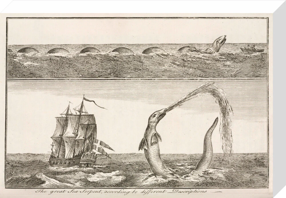 'The great Sea Serpent, according to different Descriptions', 1755. - Image 32