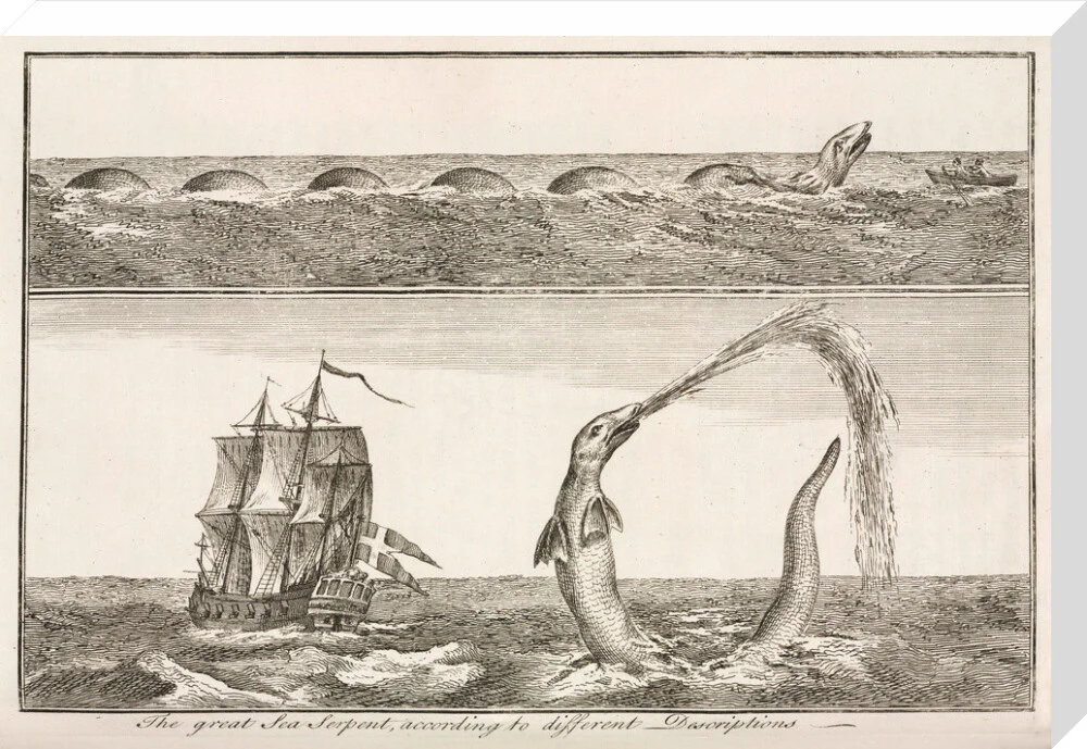 'The great Sea Serpent, according to different Descriptions', 1755. - Image 33