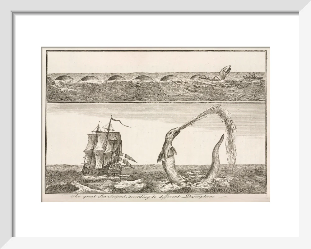 'The great Sea Serpent, according to different Descriptions', 1755. - Image 37