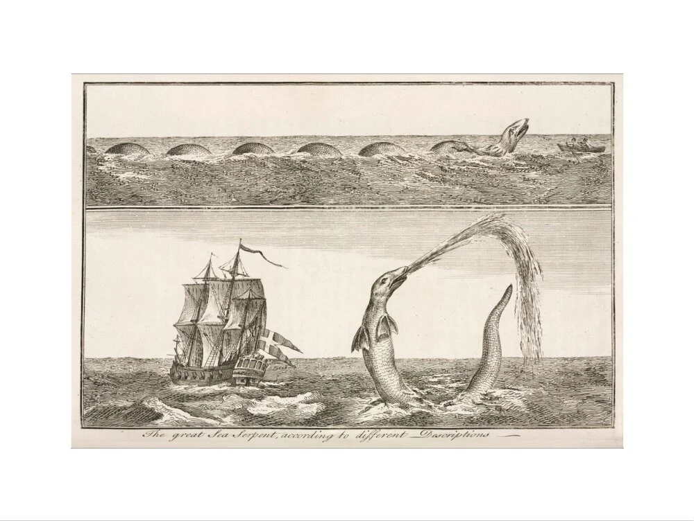 'The great Sea Serpent, according to different Descriptions', 1755. - Image 50
