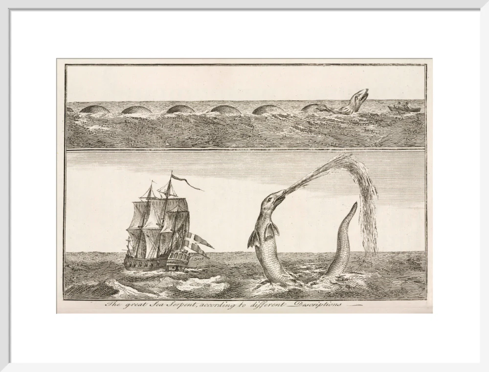 'The great Sea Serpent, according to different Descriptions', 1755. - Image 52