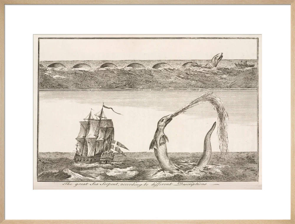 'The great Sea Serpent, according to different Descriptions', 1755. - Image 59