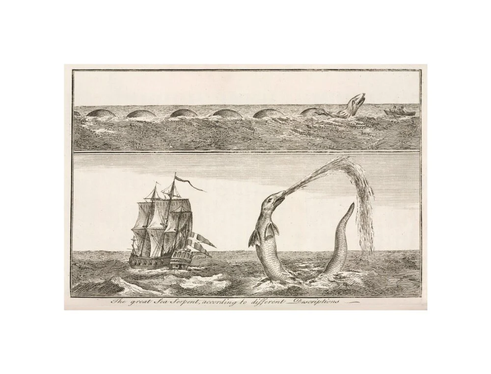 'The great Sea Serpent, according to different Descriptions', 1755. - Image 60