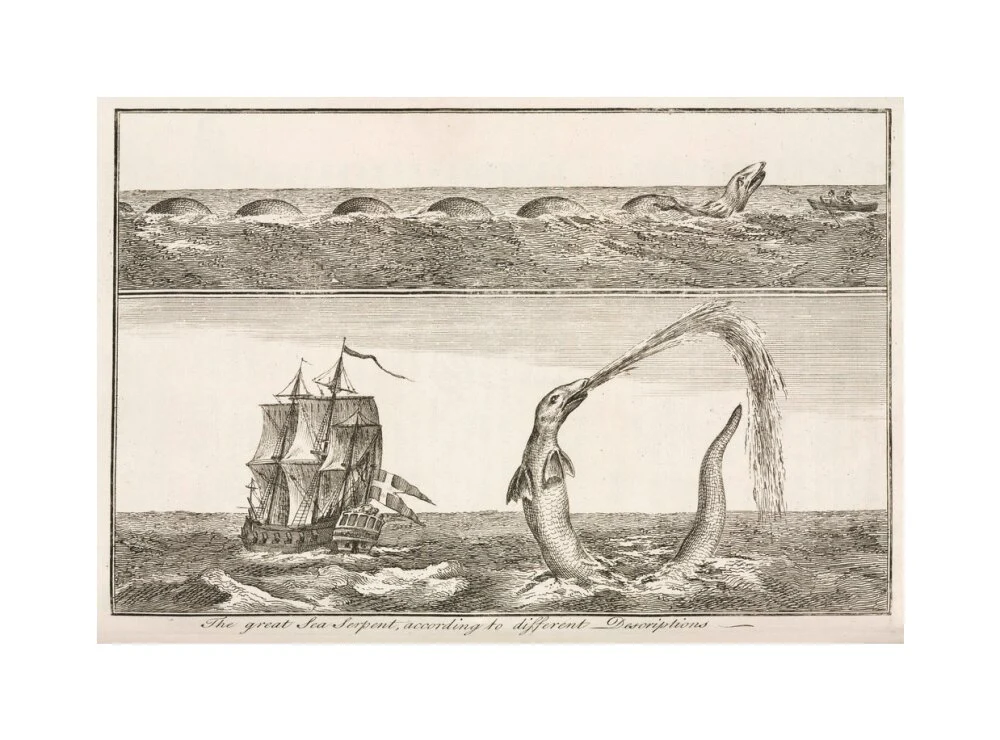 'The great Sea Serpent, according to different Descriptions', 1755. - Image 61