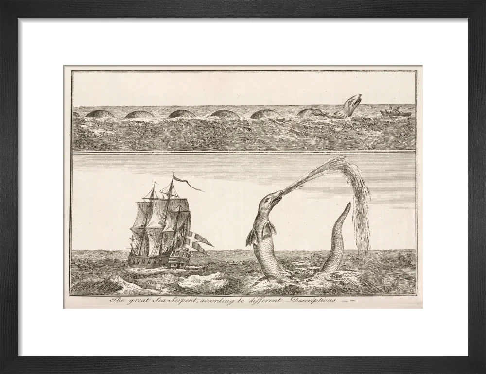 'The great Sea Serpent, according to different Descriptions', 1755. - Image 8
