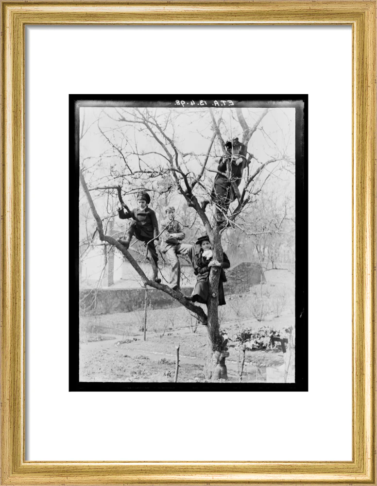 'Children In Tree', 1898. - Image 10