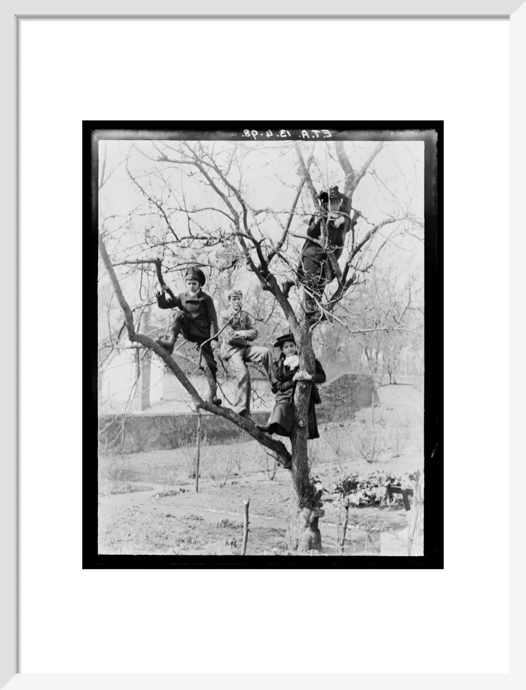 'Children In Tree', 1898. - Image 14