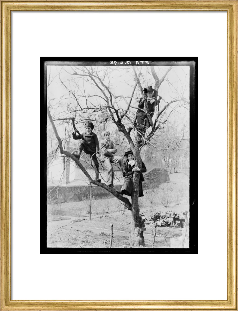 'Children In Tree', 1898. - Image 15