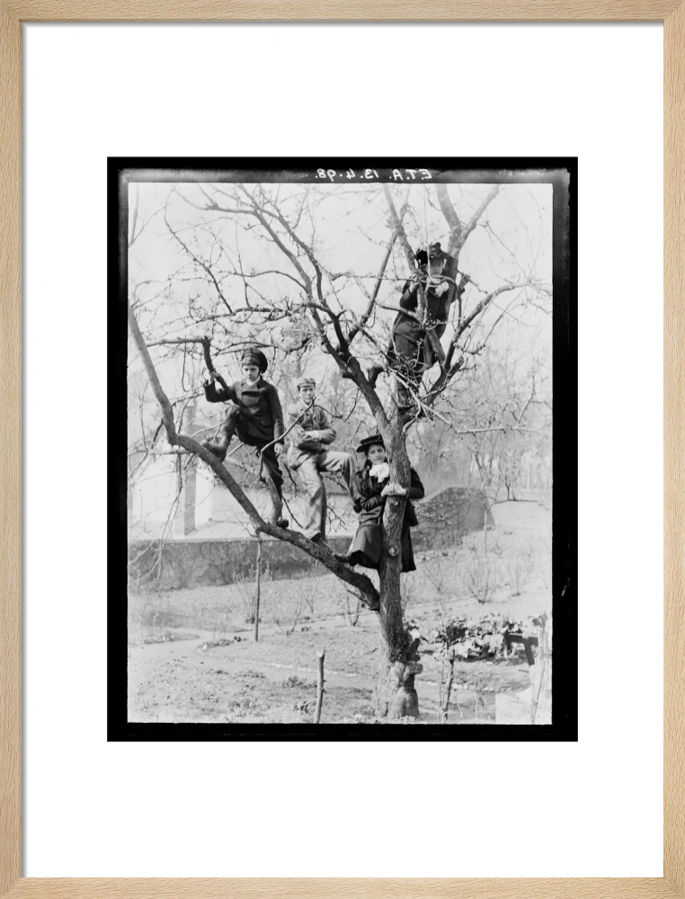 'Children In Tree', 1898. - Image 16