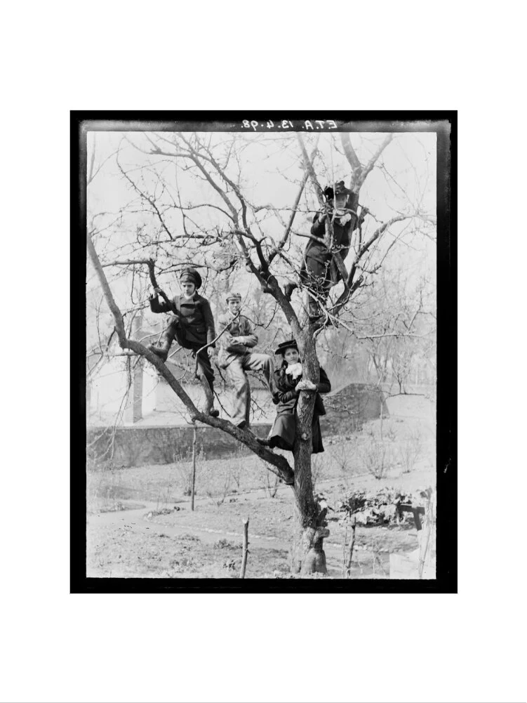 'Children In Tree', 1898. - Image 17