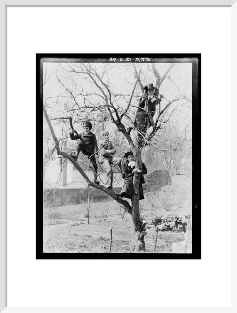'Children In Tree', 1898. - Image 19