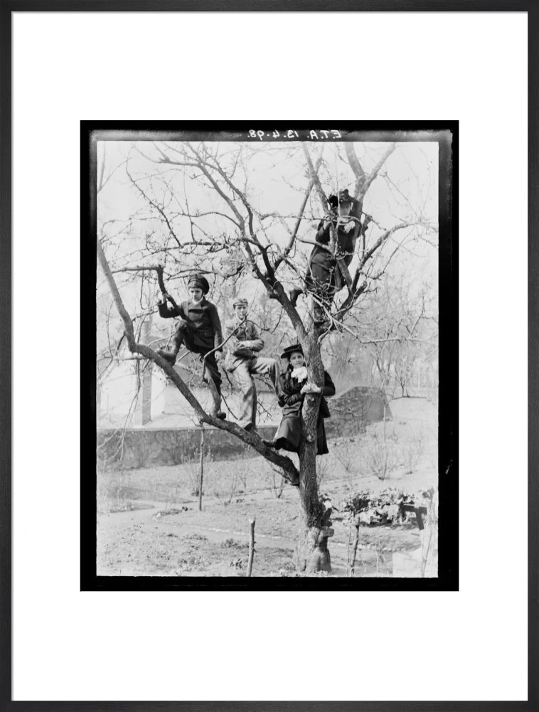 'Children In Tree', 1898. - Image 23