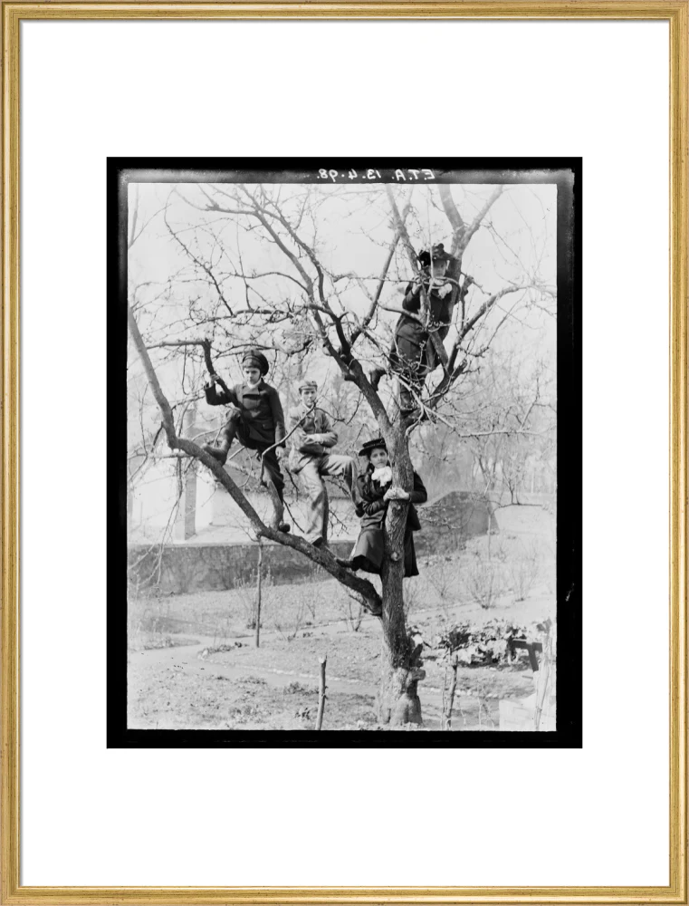'Children In Tree', 1898. - Image 25