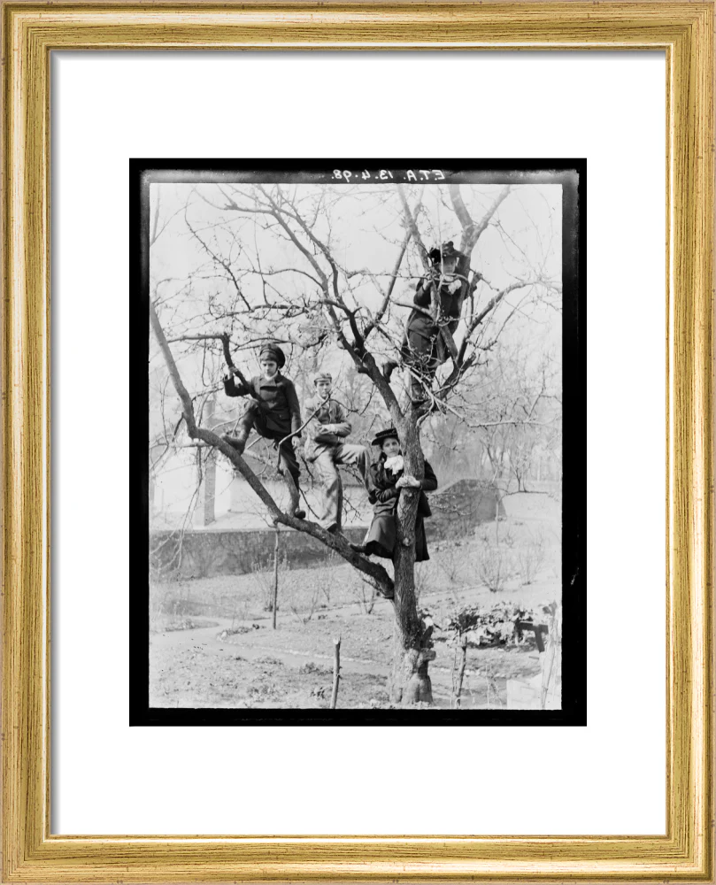 'Children In Tree', 1898. - Image 38