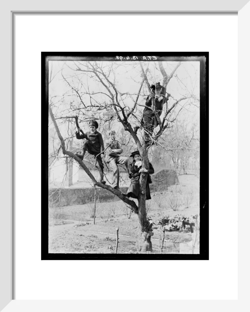 'Children In Tree', 1898. - Image 4