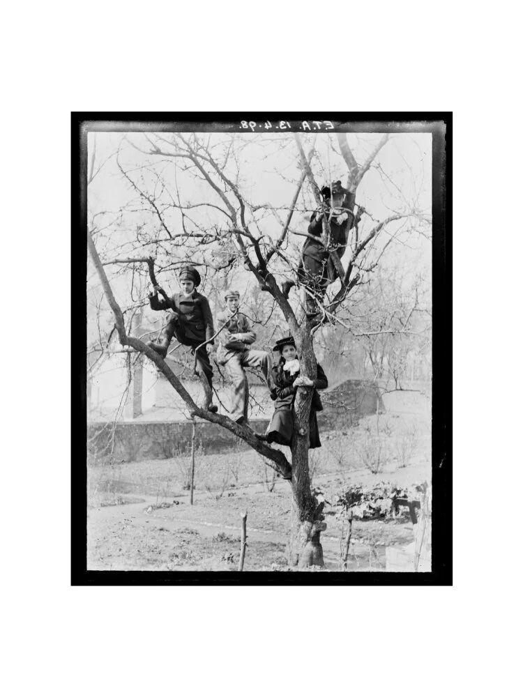 'Children In Tree', 1898. - Image 40