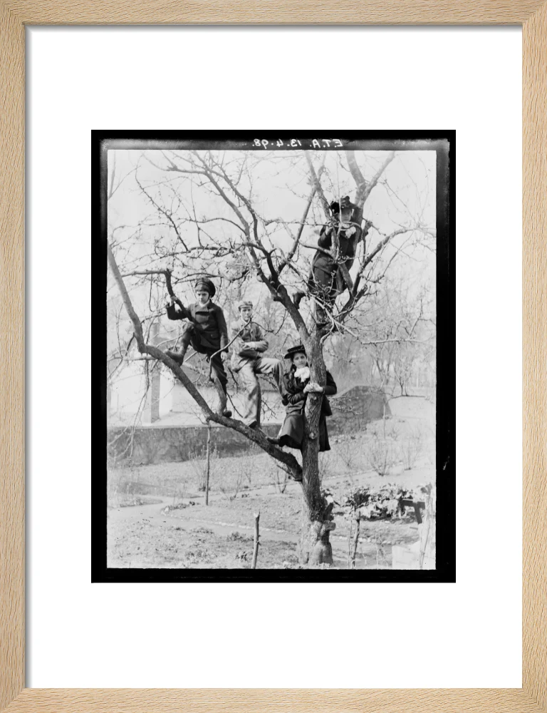 'Children In Tree', 1898. - Image 44