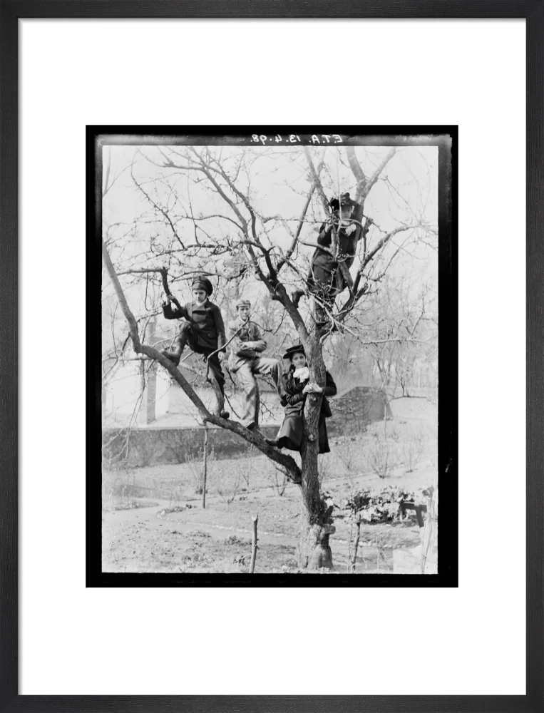 'Children In Tree', 1898. - Image 46