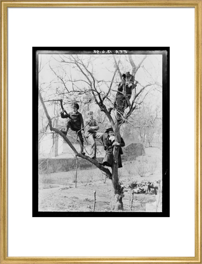 'Children In Tree', 1898. - Image 53