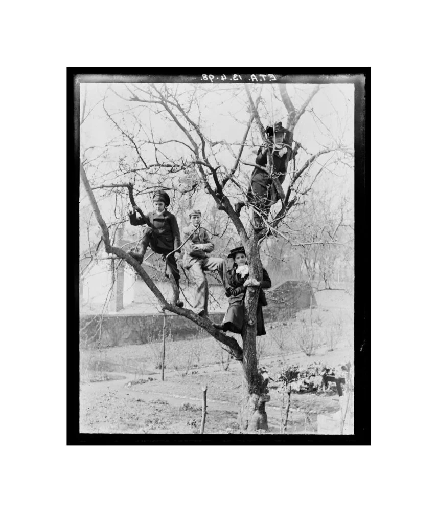 'Children In Tree', 1898. - Image 60