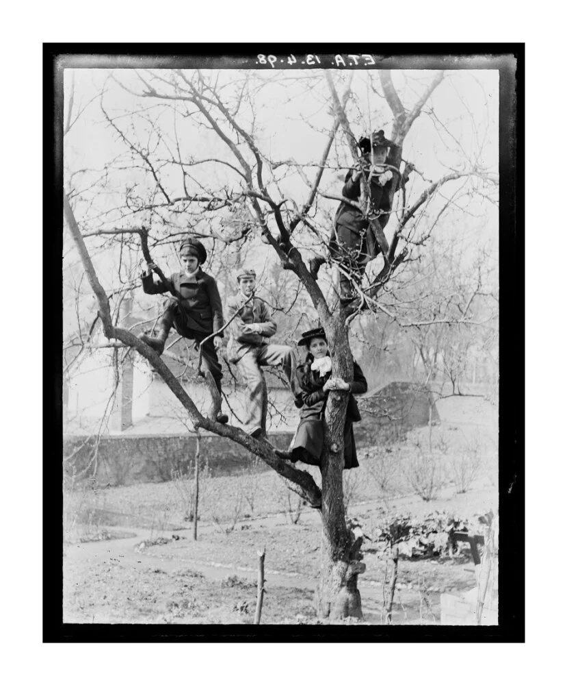 'Children In Tree', 1898. - Image 63