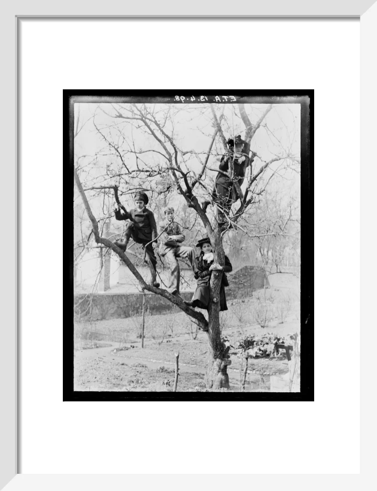 'Children In Tree', 1898. - Image 9