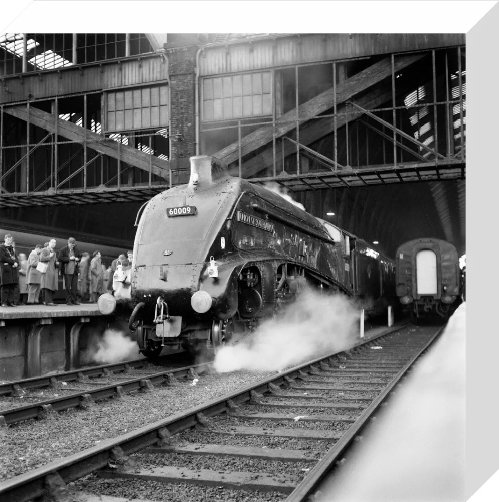 Union of South Africa, 1964. - Image 64