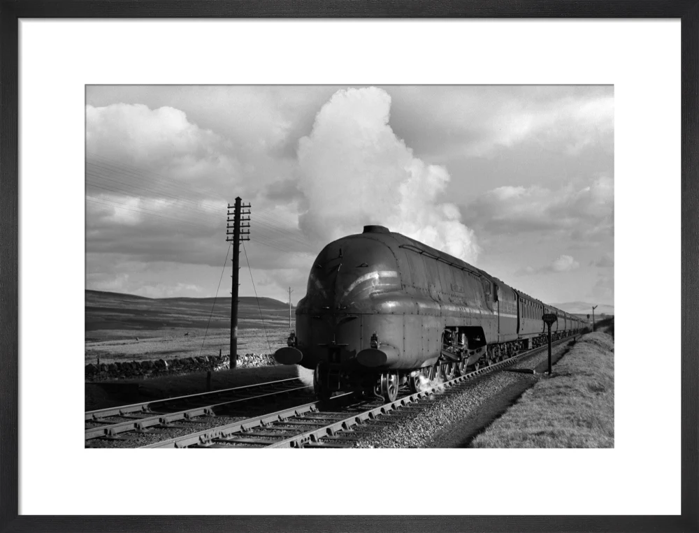 Shap summit, 1944 - Image 13