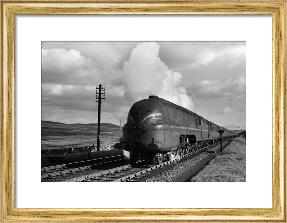 Shap summit, 1944 - Image 43