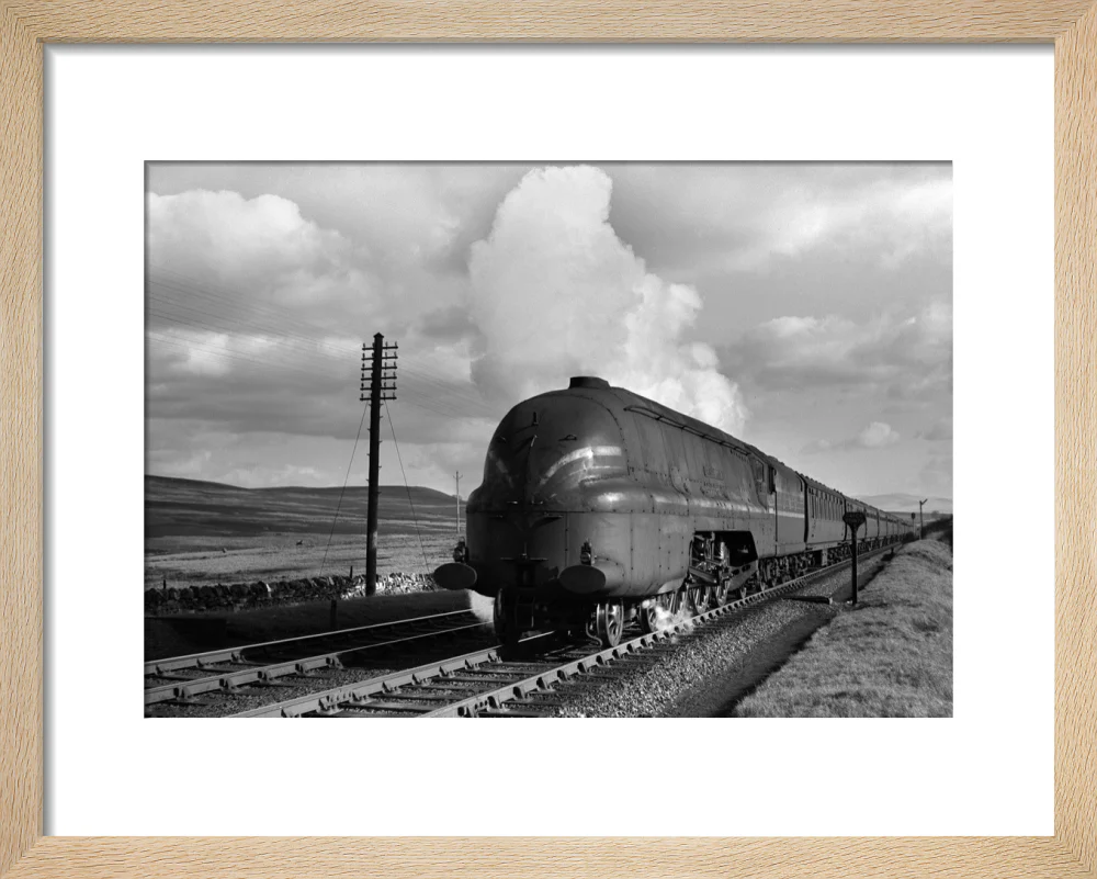 Shap summit, 1944 - Image 6