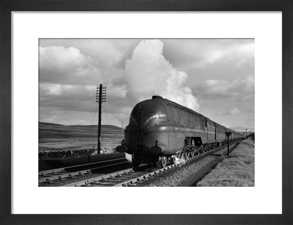 Shap summit, 1944 - Image 8
