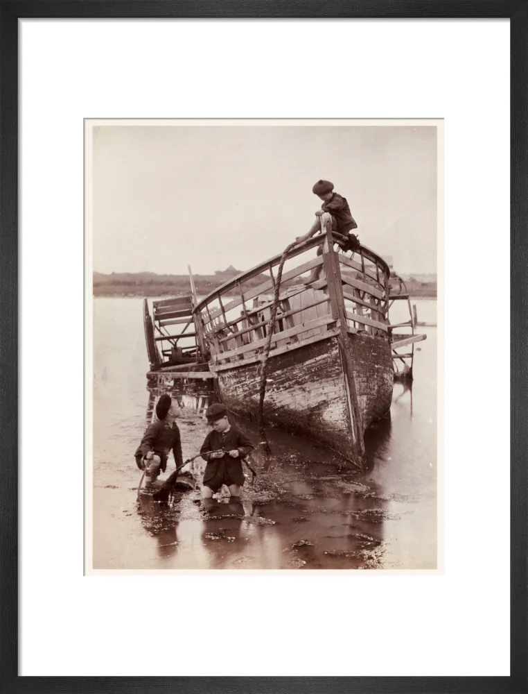 'Sea Urchins', 1888. - Image 13