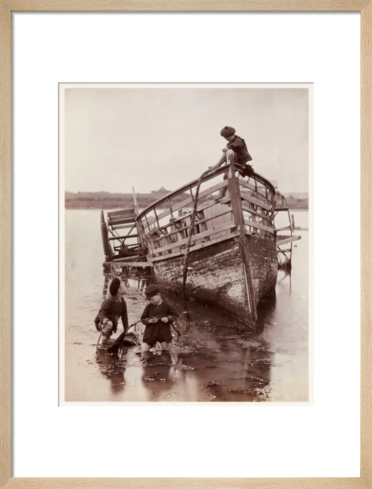 'Sea Urchins', 1888. - Image 16