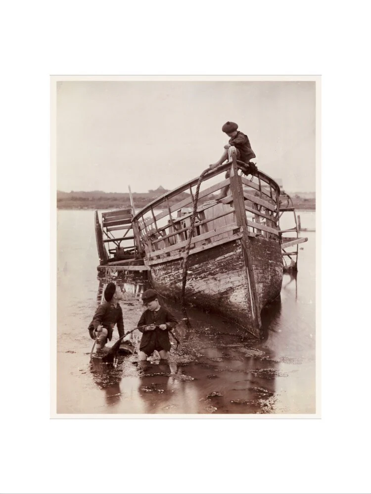 'Sea Urchins', 1888. - Image 17