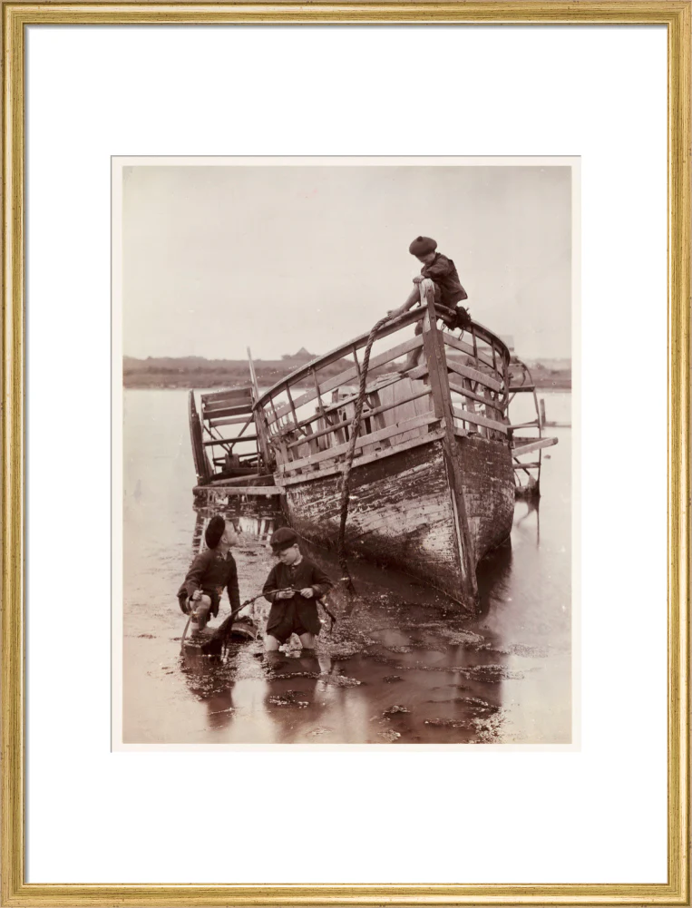 'Sea Urchins', 1888. - Image 20