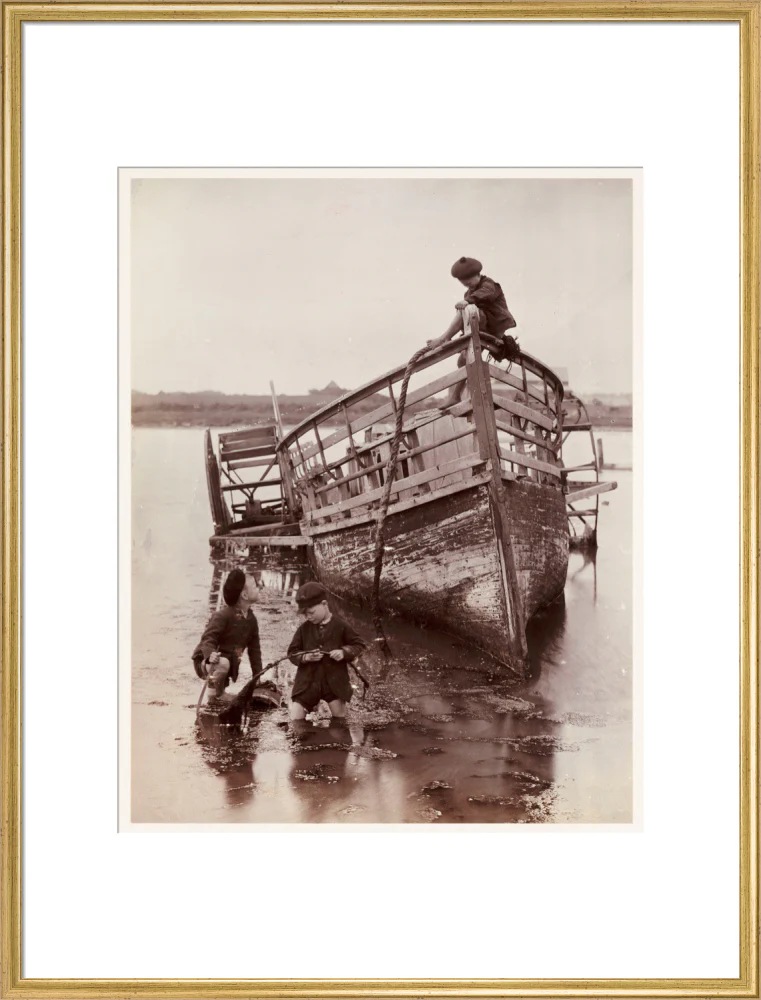 'Sea Urchins', 1888. - Image 25