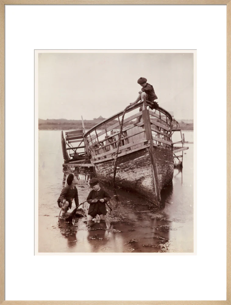 'Sea Urchins', 1888. - Image 26