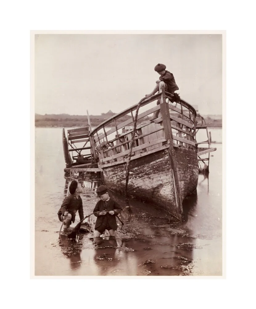 'Sea Urchins', 1888. - Image 28