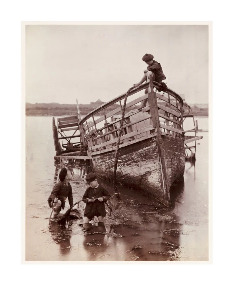 'Sea Urchins', 1888. - Image 29