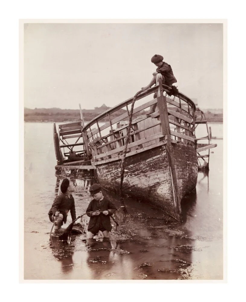 'Sea Urchins', 1888. - Image 30