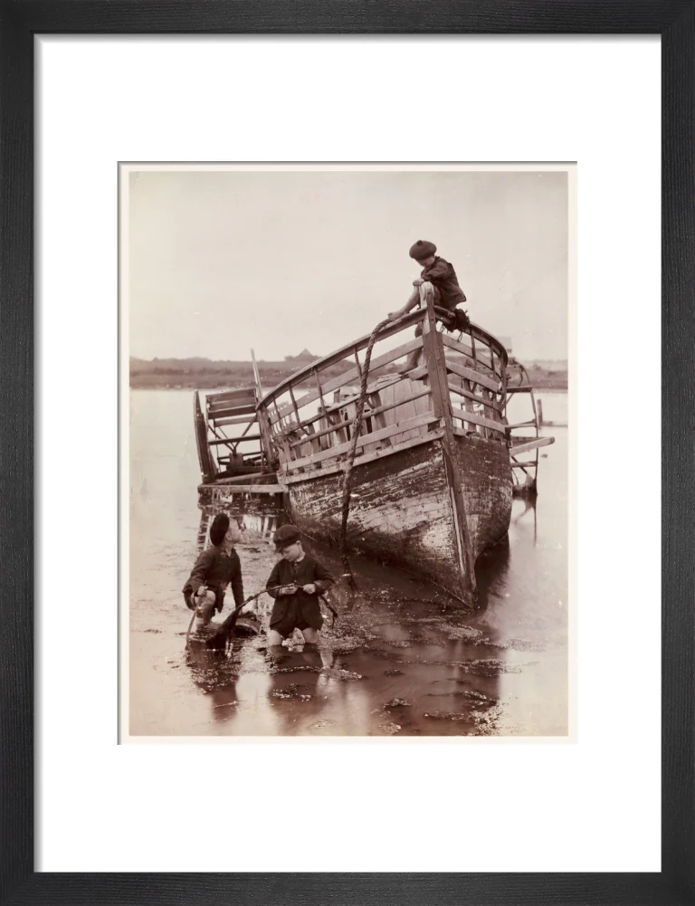 'Sea Urchins', 1888. - Image 41